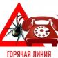 «Горячая линия» по вопросам профилактики клещевого энцефалита и других инфекций, передающихся клещами